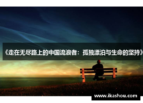 《走在无尽路上的中国流浪者：孤独漂泊与生命的坚持》